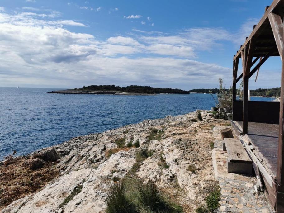 Black Pearl - Luxury Seaside App With Pool & Bbq, Istra *