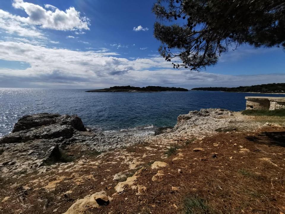Black Pearl - Luxury Seaside App With Pool & Bbq, Istra Appartamento Banjole