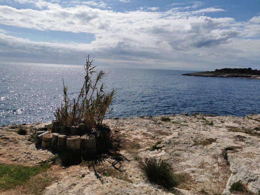 Appartamento Black Pearl - Luxury Seaside App With Pool & Bbq, Istra Banjole