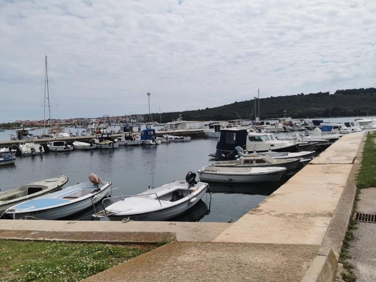 Apartment Black Pearl - Luxury Seaside App With Pool & Bbq, Istra