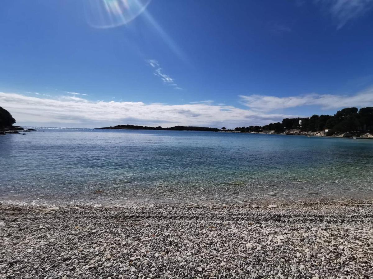 Black Pearl - Luxury Seaside App With Pool & Bbq, Istra Apartment *