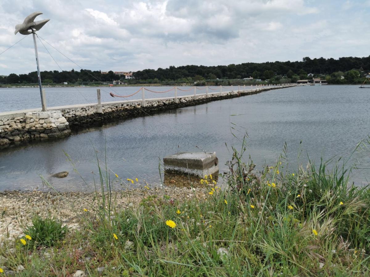 Apartment Black Pearl - Luxury Seaside App With Pool & Bbq, Istra